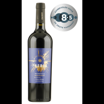 Phebus Mendoza Reservado Merlot